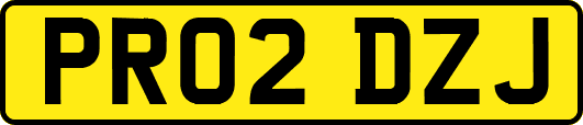PR02DZJ
