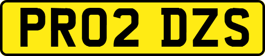 PR02DZS
