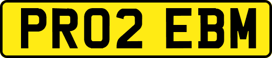 PR02EBM