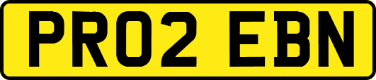 PR02EBN