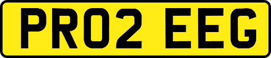PR02EEG