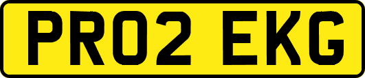 PR02EKG
