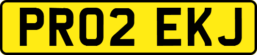 PR02EKJ