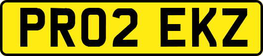 PR02EKZ