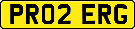 PR02ERG