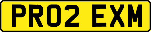 PR02EXM