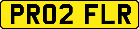 PR02FLR