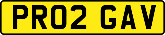 PR02GAV