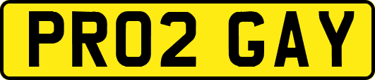 PR02GAY