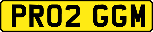 PR02GGM