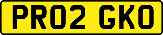 PR02GKO