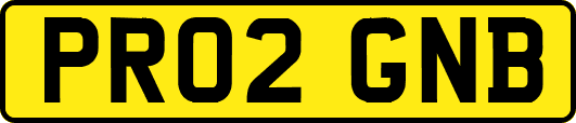 PR02GNB