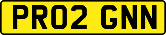 PR02GNN