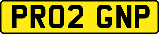 PR02GNP