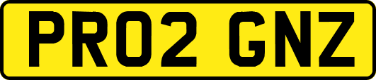 PR02GNZ
