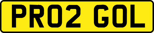 PR02GOL