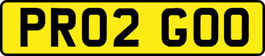 PR02GOO