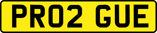 PR02GUE