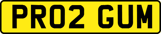 PR02GUM