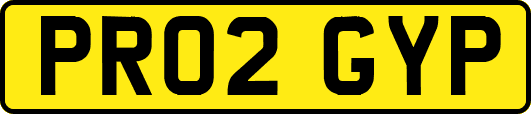 PR02GYP