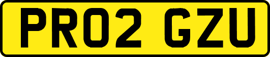 PR02GZU