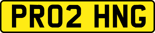PR02HNG