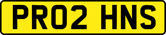 PR02HNS