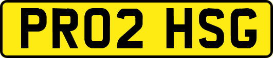 PR02HSG