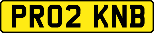 PR02KNB