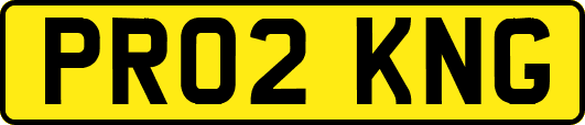 PR02KNG
