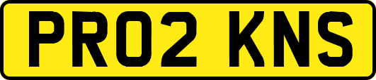 PR02KNS