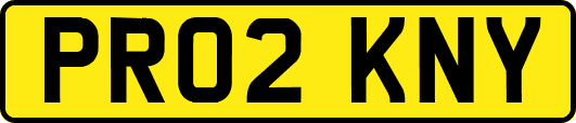 PR02KNY