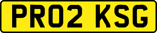 PR02KSG