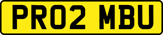 PR02MBU
