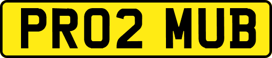 PR02MUB