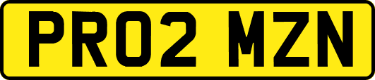 PR02MZN