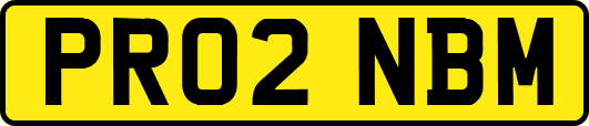 PR02NBM