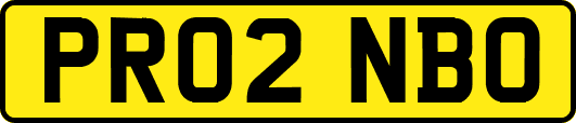 PR02NBO