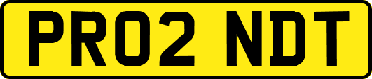 PR02NDT
