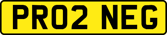 PR02NEG