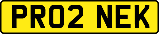 PR02NEK