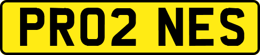PR02NES