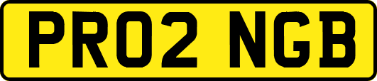 PR02NGB