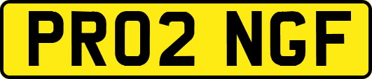 PR02NGF
