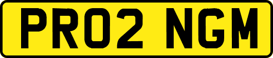 PR02NGM