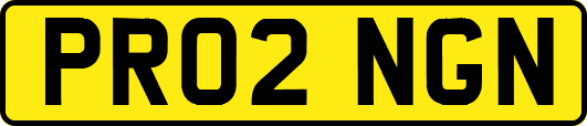 PR02NGN