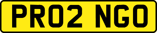PR02NGO