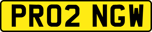 PR02NGW