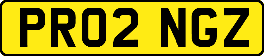 PR02NGZ