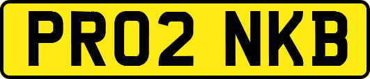PR02NKB
